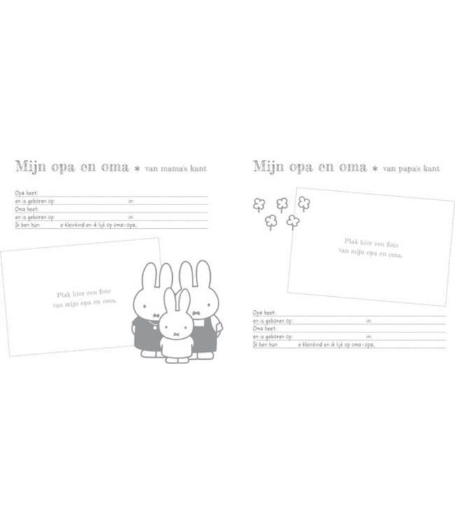 Nijntje Baby’s Eerste Jaar boek in blauw – bewaak herinneringen van het eerste jaar