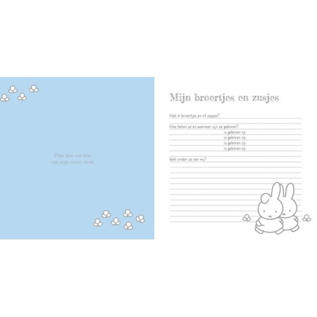 Nijntje Baby’s Eerste Jaar boek in blauw – bewaak herinneringen van het eerste jaar