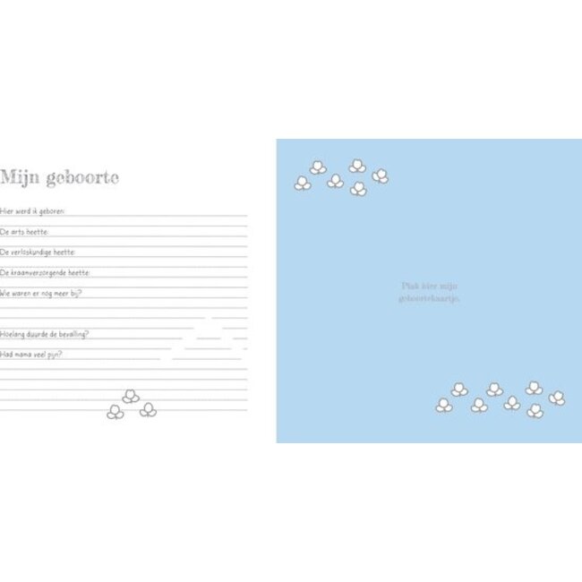 Nijntje Baby’s Eerste Jaar boek in blauw – bewaak herinneringen van het eerste jaar