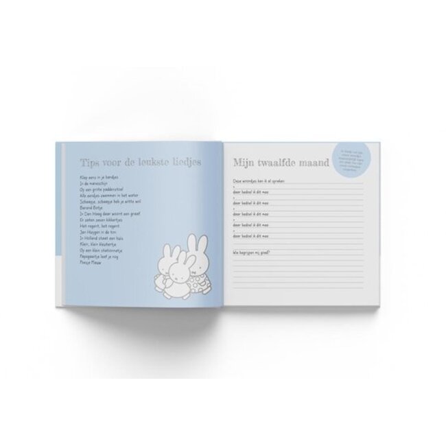 Nijntje Baby’s Eerste Jaar boek in blauw – bewaak herinneringen van het eerste jaar