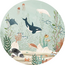 Wall Circle Kelp Forest | Underwater World with Orcas & Kelp