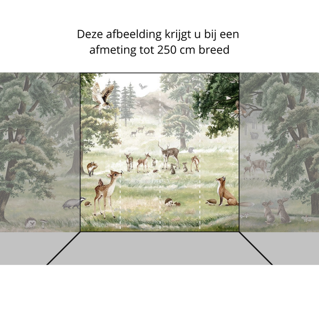 Forest Fun Non-Woven Wallpaper – Forest Animals & Nature