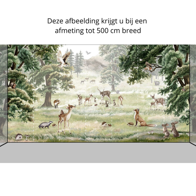 Forest Fun Papier Peint Intissé – Animaux de la Forêt