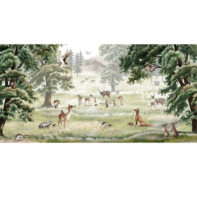 Forest Fun Non-Woven Wallpaper – Forest Animals & Nature