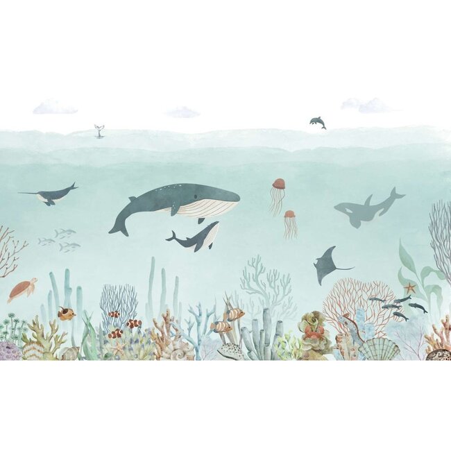 Sensational Sea vliesbehang – kleurrijke onderwaterwereld met dolfijnen en walvissen