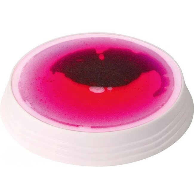 Interactive LED Stepping Stones for Kids | 4-Piece Set for Balance and Sensory Development