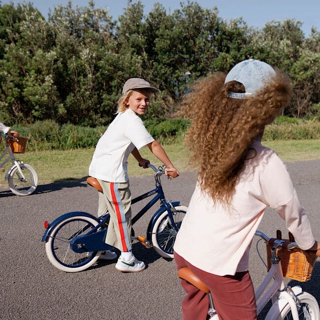 Vélo Enfant  14 pouces Bleu avec Panier en Osier