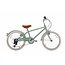Kinderfiets 20 inch Forest green met 7 Versnellingen