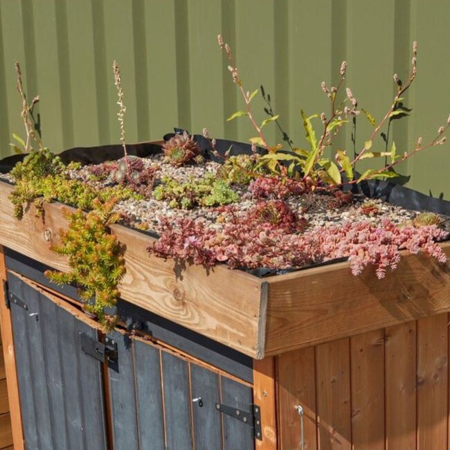 Educational Outdoor Storage with Living Roof – Sustainable Learning & Storage
