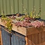 Educational Outdoor Storage with Living Roof – Sustainable Learning & Storage