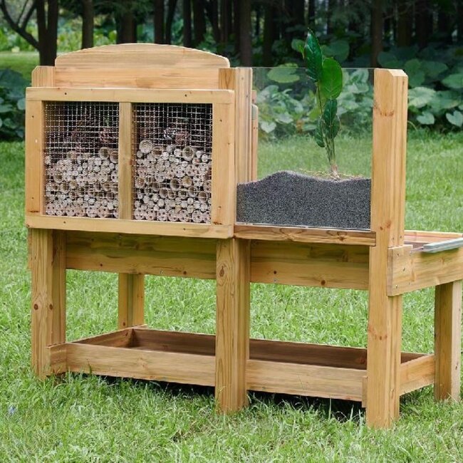 Professioneller Insekten- und Pflanzen-Beobachtungstisch – Pädagogische Entdeckerbank für Garten und Schule