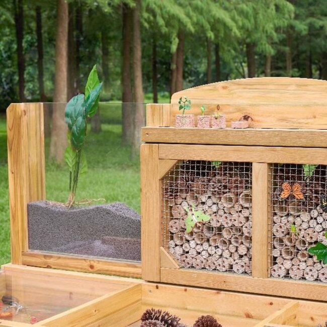 Table d'observation des insectes et des plantes professionnelle  – Banc d'éveil pour jardin et école