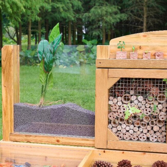 Professionele Insecten en Planten Observatie Tafel – Educatieve Ontdekbank voor Tuin en Schoolplein