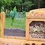 Professional Insect and Plant Observation Table – Educational Discovery Bench for Garden and School
