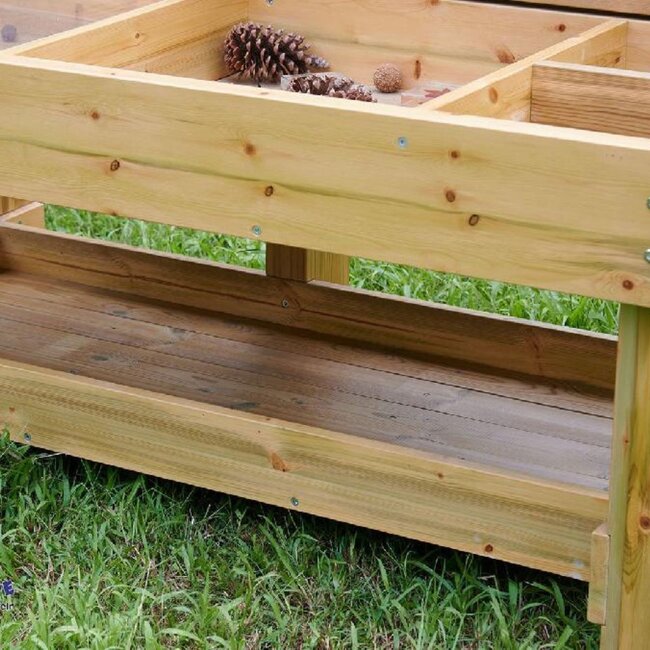 Table d'observation des insectes et des plantes professionnelle  – Banc d'éveil pour jardin et école