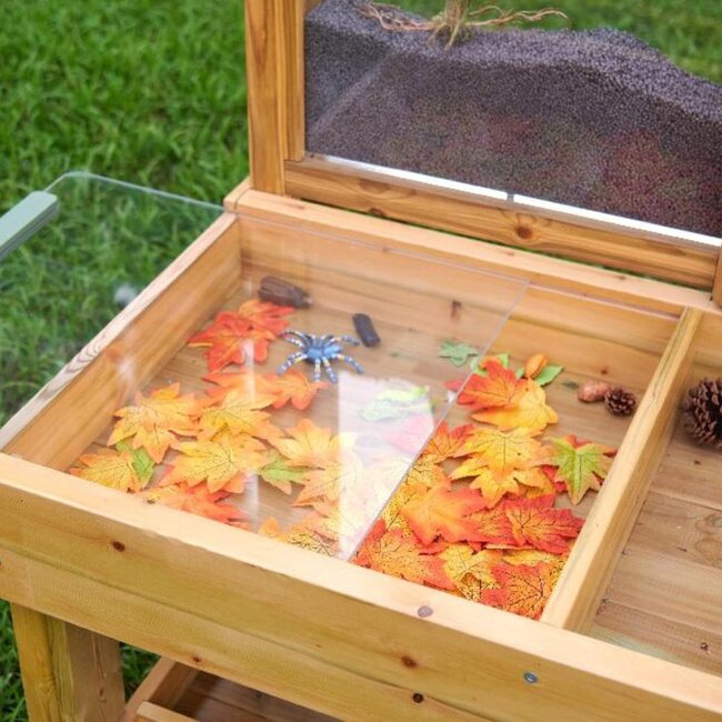 Professionele Insecten en Planten Observatie Tafel – Educatieve Ontdekbank voor Tuin en Schoolplein
