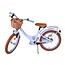 Vélo Fille de Luxe 18 pouces avec Panier et Porte-bagages (4-7 ans) – Pastel Blue