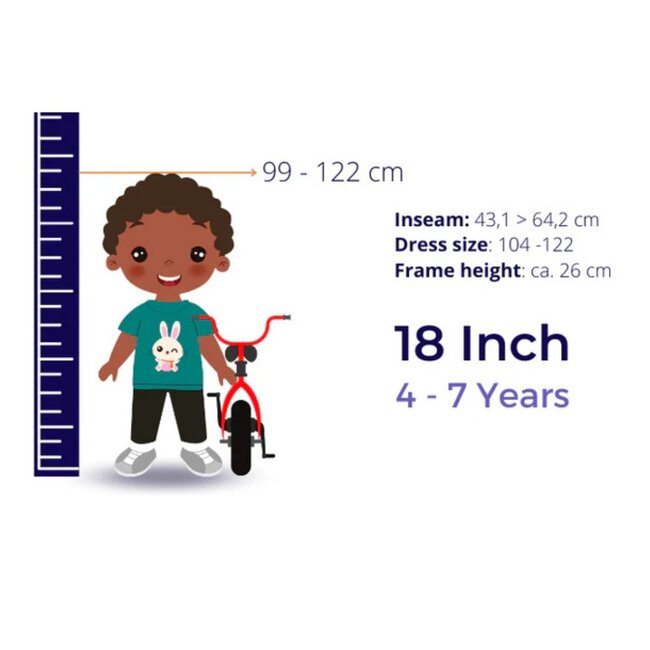 Vélo Garçon Robuste 18 pouces avec Porte-bagages et Garde-boue (4-7 ans) – Bleu/Gris