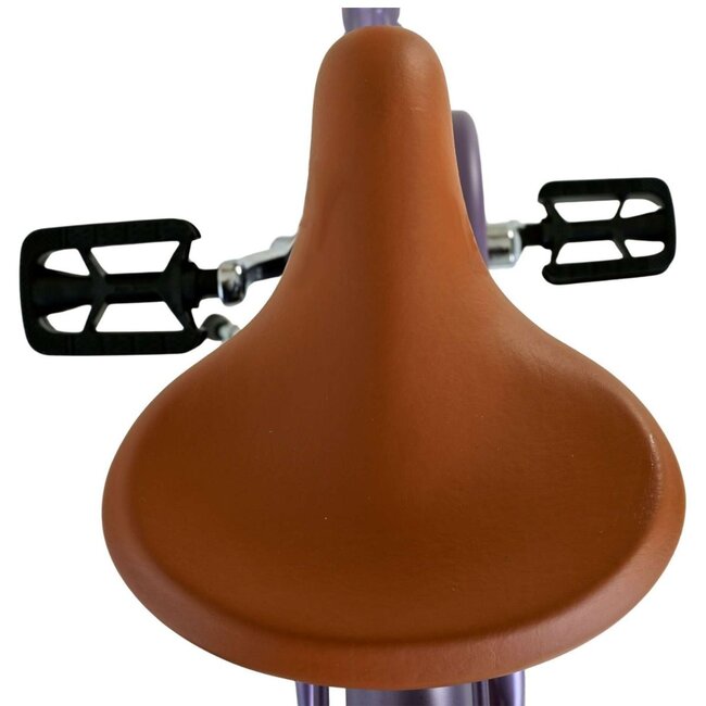 Meisjesfiets 20 inch met Mandje, Slot en Verlichting (6-8 jaar) – Paars