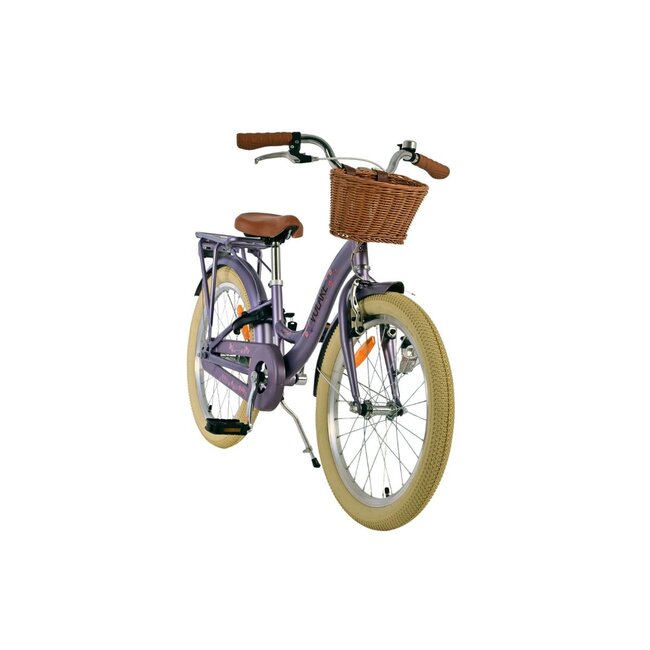 Meisjesfiets 20 inch met Mandje, Slot en Verlichting (6-8 jaar) – Paars