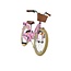 Vélo Fille 20 pouces avec Panier, Antivol et Éclairage (6-8 ans) – Rose
