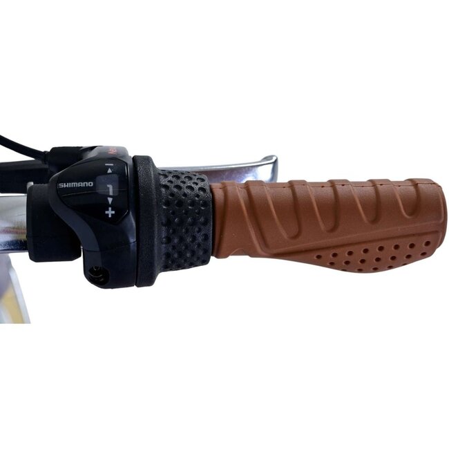 Meisjesfiets 20 inch met Nexus 3 Versnellingen, Mandje en Slot (6-8 jaar) – Paars