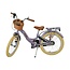 Meisjesfiets 20 inch met Nexus 3 Versnellingen, Mandje en Slot (6-8 jaar) – Paars