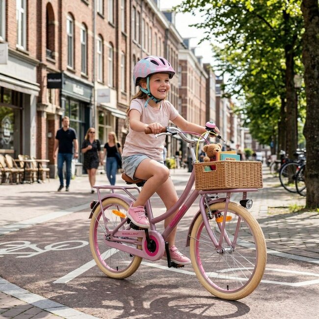 Vélo Fille de Luxe 20 pouces avec Porte-bagages Avant et Éclairage (6-8 ans) – Matt Rose