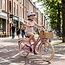 Luxe Meisjesfiets 20 inch met Voordrager en Verlichting (6-8 jaar) – Mat Roze