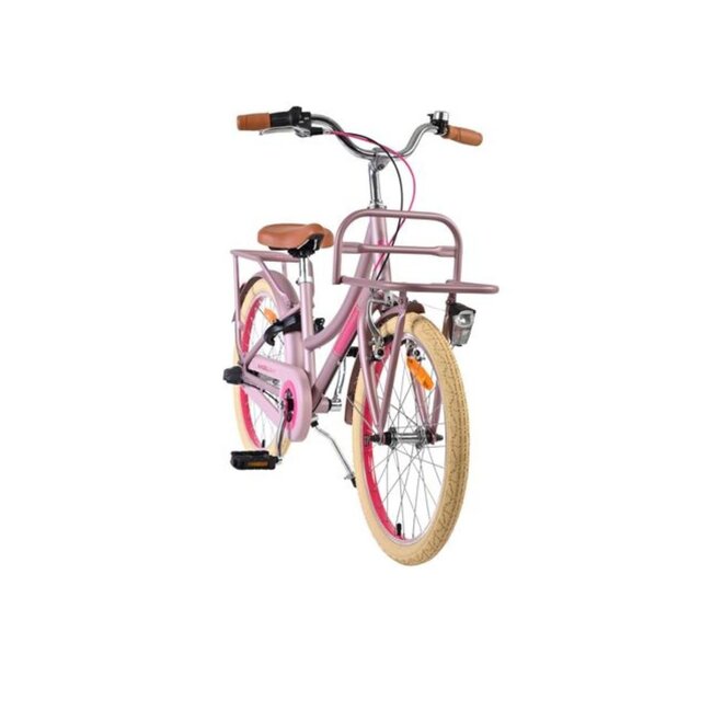 Luxe Meisjesfiets 20 inch met Voordrager en Verlichting (6-8 jaar) – Mat Roze