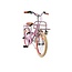 Luxe Meisjesfiets 20 inch met Voordrager en Verlichting (6-8 jaar) – Mat Roze