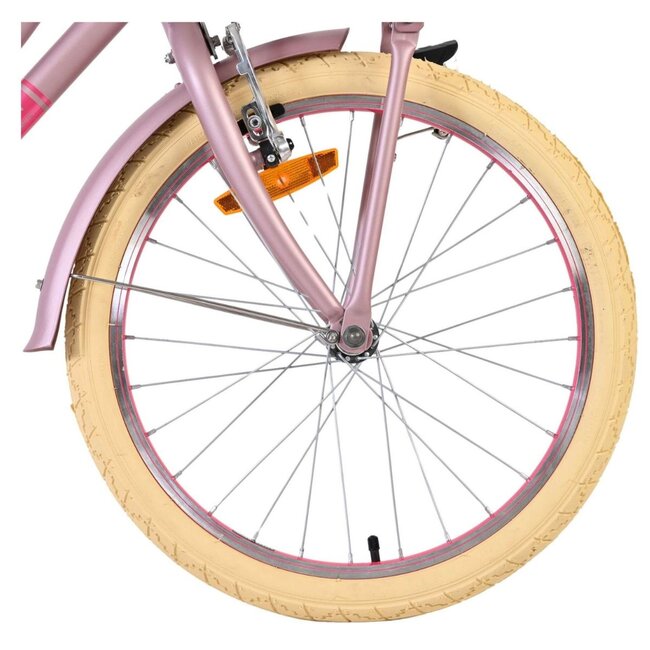 Luxus Mädchenfahrrad 20 Zoll mit Vorderradträger und Beleuchtung (6-8 Jahre) – Matt Rosa