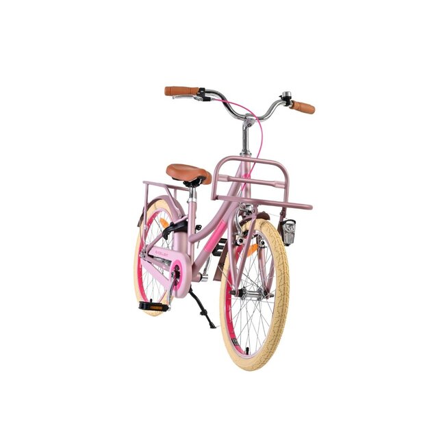 Luxus Mädchenfahrrad 20 Zoll mit Vorderradträger und Beleuchtung (6-8 Jahre) – Matt Rosa