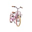 Luxe Meisjesfiets 20 inch met Voordrager en Verlichting (6-8 jaar) – Mat Roze