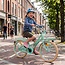 Luxus Mädchenfahrrad 20 Zoll mit Vorderradträger und Beleuchtung (6-8 Jahre) – Grün