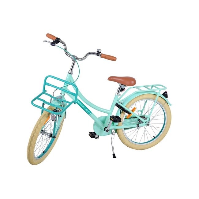 Luxury Girls Bike 20 inch with Front Carrier and Lighting (6-8 years) – Green