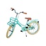 Luxury Girls Bike 20 inch with Front Carrier and Lighting (6-8 years) – Green