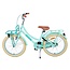 Vélo Fille de Luxe 20 pouces avec Porte-bagages Avant et Éclairage (6-8 ans) – Vert