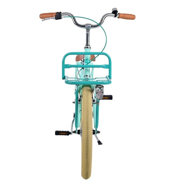 Vélo Fille de Luxe 20 pouces avec Porte-bagages Avant et Éclairage (6-8 ans) – Vert