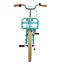 Luxury Girls Bike 20 inch with Front Carrier and Lighting (6-8 years) – Green