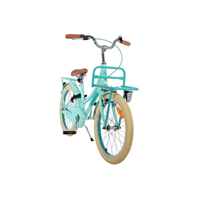 Vélo Fille de Luxe 20 pouces avec Porte-bagages Avant et Éclairage (6-8 ans) – Vert