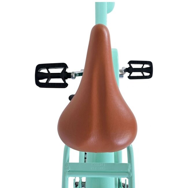 Vélo Fille de Luxe 20 pouces avec Porte-bagages Avant et Éclairage (6-8 ans) – Vert