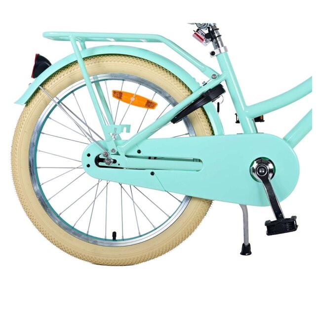 Luxus Mädchenfahrrad 20 Zoll mit Vorderradträger und Beleuchtung (6-8 Jahre) – Grün