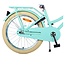 Vélo Fille de Luxe 20 pouces avec Porte-bagages Avant et Éclairage (6-8 ans) – Vert
