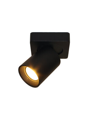 Artdelight Moderne Plafondlamp Zwart 1-lichts - Megano