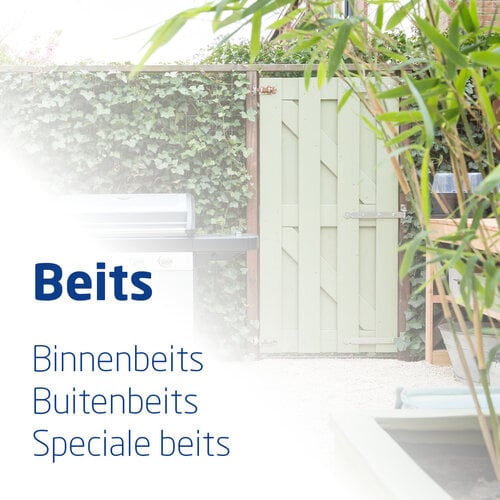 Beits