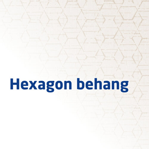 Hexagon behang