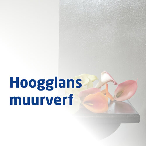 Hoogglans muurverf