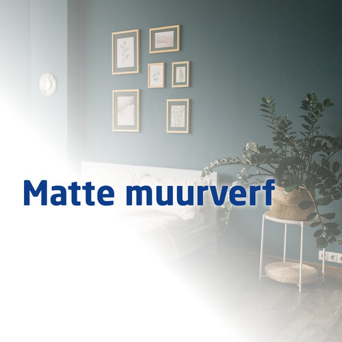 Matte muurverf