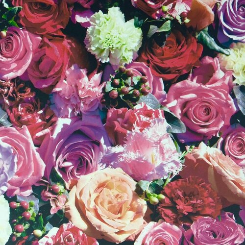 Dutch Wallcoverings J97010 Dutch Wallcoverings J97010